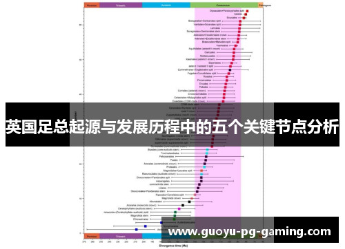 英国足总起源与发展历程中的五个关键节点分析