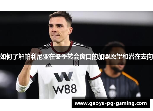 如何了解帕利尼亚在冬季转会窗口的加盟愿望和潜在去向