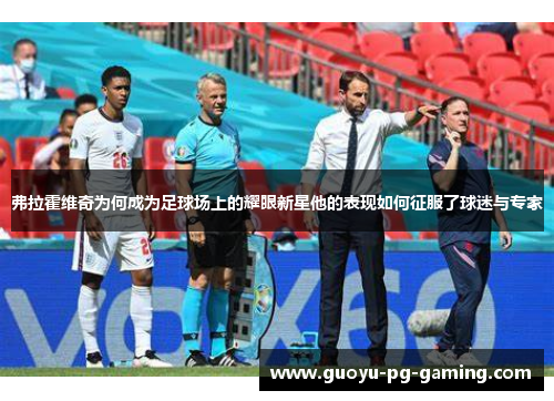 弗拉霍维奇为何成为足球场上的耀眼新星他的表现如何征服了球迷与专家