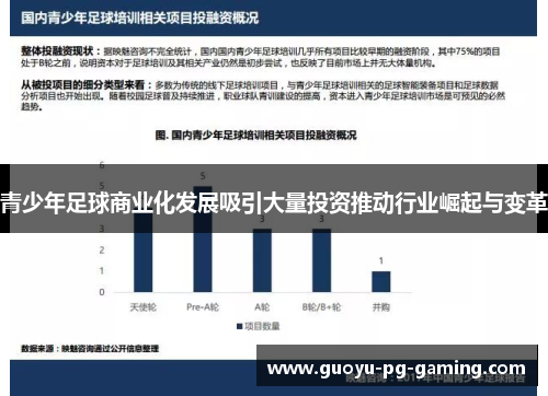 青少年足球商业化发展吸引大量投资推动行业崛起与变革 青少年足球商业化发展吸引大量投资推动行业崛起与变革
