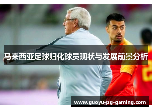 马来西亚足球归化球员现状与发展前景分析 马来西亚足球归化球员现状与发展前景分析